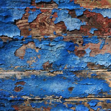Wooden background, Rough texture, Blue background