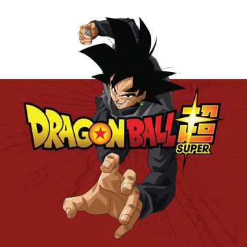 Dragon Ball Super, Goku Black