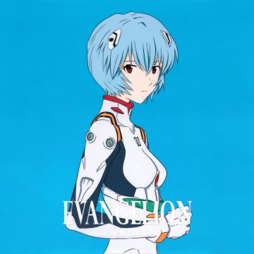Rei Ayanami, 12K, Neon Genesis Evangelion, 5K, 8K, Blue background