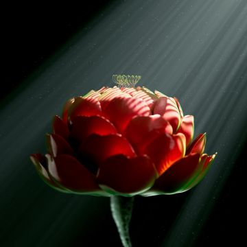 Red flower, Digital Art, Digital flower, Radiance, Dark background, Light beam, 5K, 8K, Surreal, Dark aesthetic