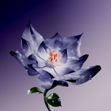 Lotus flower, Digital Art, Purple Flower, Water Lily, Digital flower, 5K, Purple background, Purple aesthetic