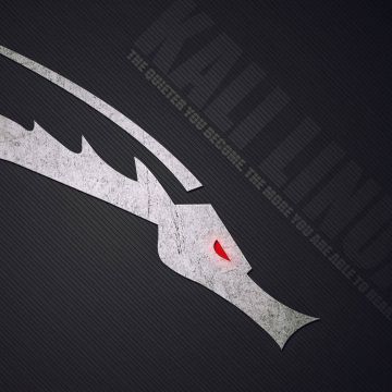 Kali Linux, Dark background