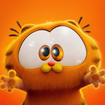 Adorable, Baby Garfield, The Garfield Movie, 2024 Movies, Animation movies, Orange aesthetic, Orange background