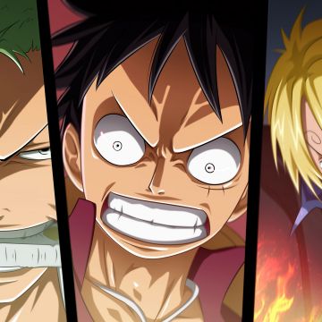 Roronoa Zoro, Monkey D. Luffy, Sanji, One Piece
