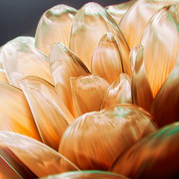 Golden, Digital flower, Closeup