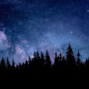 Night, Starry sky, Forest, Silhouette, Astronomy, Cosmos, 5K