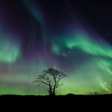 Aurora Borealis, 5K, Northern Lights, Night