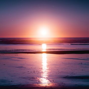 Sunset, Seascape, Reflection, Beach, Seashore, Dawn, Kalaloch