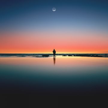 Horizon, Beach, Man, Alone, Sunset, Silhouette, Crescent Moon, Reflection, Kalaloch