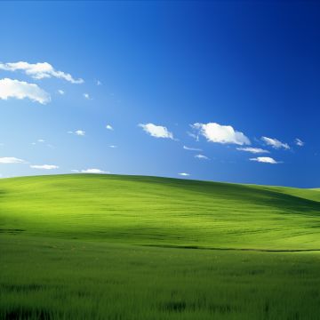 Windows XP, Landscape, Bliss, Blue Sky, Green landscape