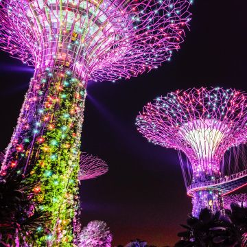 Supertree Grove, Lighting, Purple, Colorful lights, Garden, Night, Singapore, 5K