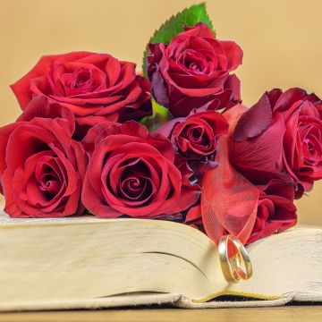 Red Roses, Wedding rings, Book, Valentine's Day, 5K
