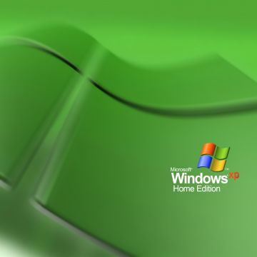 Windows XP, Logo, 5K, Microsoft Windows, Stock, Green background