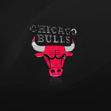 Chicago Bulls, Dark background, Basketball team, Logo, 5K
