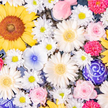 Colorful, Flower bouquet, Sunflower, Daisy flowers