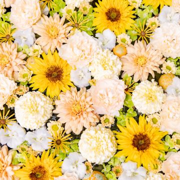 Flower bouquet, Yellow aesthetic, Chrysanthemum flowers, Daisy flowers
