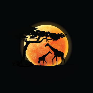 Giraffe, Silhouette, Sunset, AMOLED, Black background, Minimalist, 5K