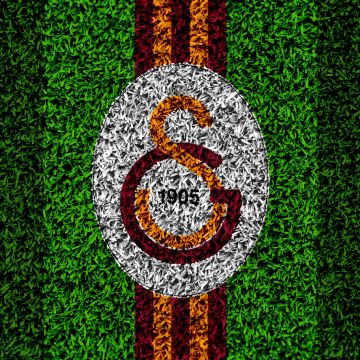 Galatasaray, Green background, Football club, UEFA Champions League