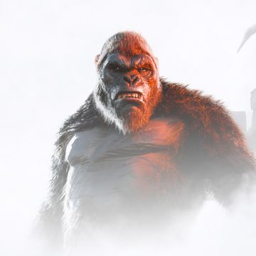 Kong: Survivor Instinct, 2024 Games, 5K, King Kong