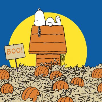 Snoopy, Halloween, Halloween pumpkins, Halloween background, 5K