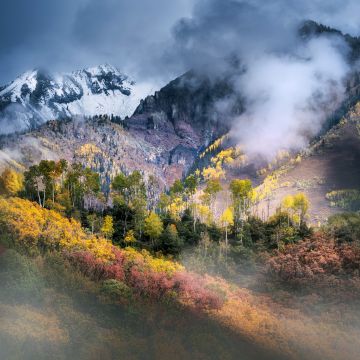 Colorado, Mountain Landscape, Fall Colors, Clouds, Autumn Forest, Aspen trees, 5K, 8K