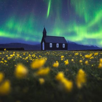 Aurora Borealis, Church, Northern Lights, Iceland, Yellow flowers, Scenic, Landscape, Evening sky, 5K, 8K