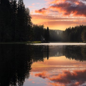 Serene, Lake, Sunset, Forest, Trees, Reflection, Clouds, Body of Water, Scenic, Peaceful, Calm, Tranquil, Quiet, 5K, 8K