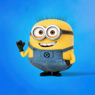 Minion, Smiling, 5K, Blue background, Despicable Me