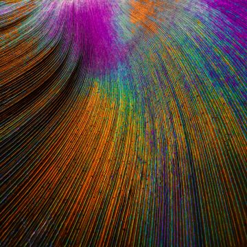 Peacock feather, Curved lines, Colorful, Particles