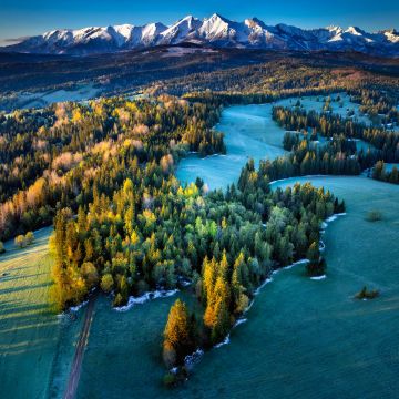 Poland, Landscape, Tatra Mountains, Mountain range, Green Forest, Pine trees, Morning light, Scenic, 5K