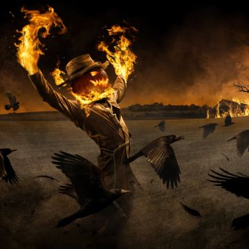 Scarecrow, Halloween night, Fire, Burning, Crows, Spooky, Scary, Gothic, Horror, 5K