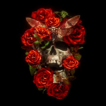 Skull, Roses, AMOLED, 5K, Black background, Darkness