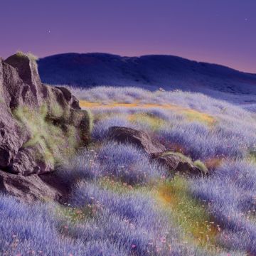 Dark purple, Landscape, Dark Mode, Surreal, Dreamlike, Serene, Digital Art, 5K, Rocks