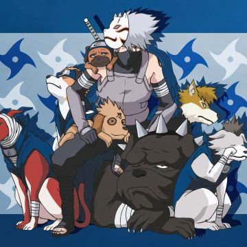 Kakashi Hatake, Ninja dogs, Naruto, 5K, Blue background