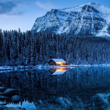 Lake Louise, Winter forest, Cold, Reflections, Pine trees, Frozen, Snow covered, Banff National Park, Canada, Wilderness, 5K