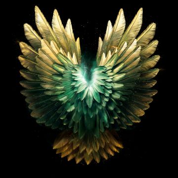 Angelic, Wings, Feathers, Black background, AMOLED, Luminescence, 5K