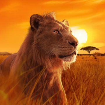 Mufasa, 5K, Mufasa: The Lion King, 2024 Movies