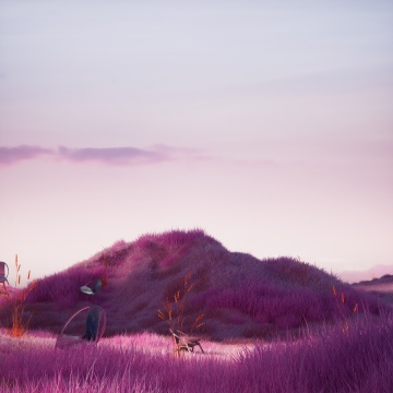 Pink aesthetic, Scenery, Landscape, Surreal, Pink grass, Dreamlike, Pastel, Tranquility, Ethereal, 5K