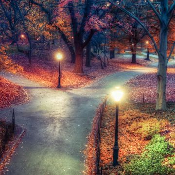 Central Park, New York City, Autumn leaves, Path, Night, Lights, Beautiful, 5K