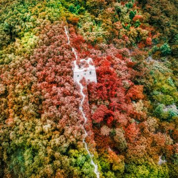 Great Wall of China, Beijing, Aerial view, Beautiful, Green, Red, Colorful, Trees