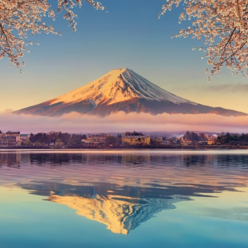 Lake Kawaguchi, Mount Fuji, Cherry blossom, Aesthetic, Sakura, 5K, Japan, Sunrise, Reflection, Serene, Spring, Snow covered, Pastel, Tourist attraction, Iconic