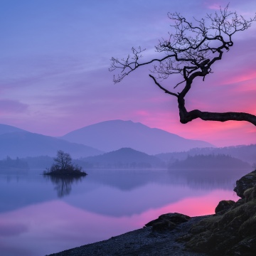 Pastel, Sunset, Lake, Mountains, Serene, Reflection, Silhouette, Lone tree, Dusk, Twilight, Misty, Scenic, Calm