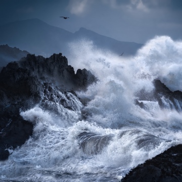 Stormy, Waves, Rocky coast, Dramatic, Seascape, Seabirds, Coastal, 5K, Dark