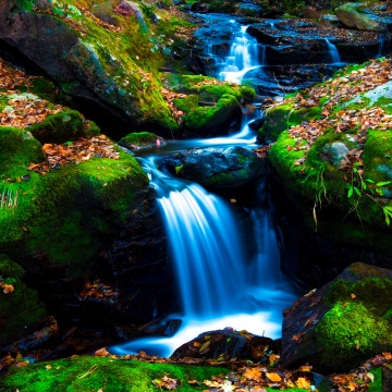 Mossy rocks, Green Moss, Autumn leaves, Forest, Water Stream, Long exposure, Serene, Flowing Water, Lush green field, Tranquility, 5K