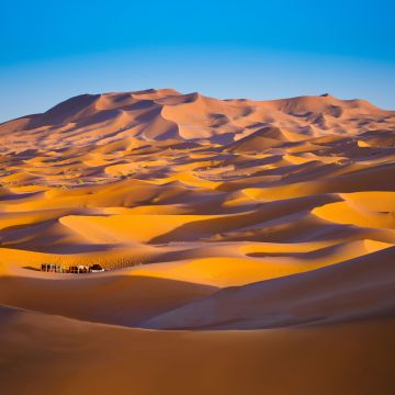 Sahara Desert, Merzouga, Morocco, Sand Dunes, Blue Sky, Sunny day, 5K, Summer