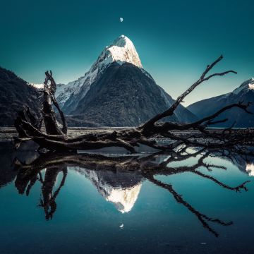 Mitre Peak, Moon, New Zealand, Milford Sound, Fallen tree, Snow mountains, Blue Sky, Water, Reflection, 5K