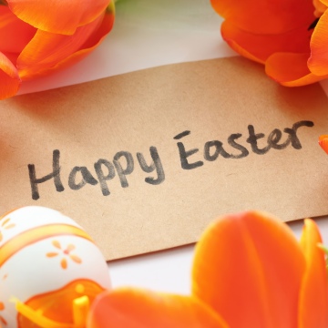 Happy Easter, Tulips, Easter eggs, Orange flowers, 5K