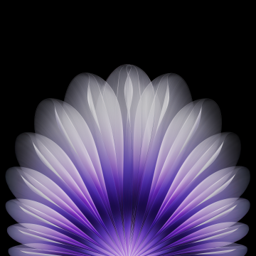 Floral, Purple abstract, Geometric, AMOLED, Black background, Oppo Find N5, Stock, Symmetry, 5K