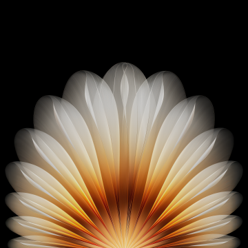 Floral, Abstract design, Geometric, AMOLED, Black background, Oppo Find N5, Stock, Symmetry, 5K