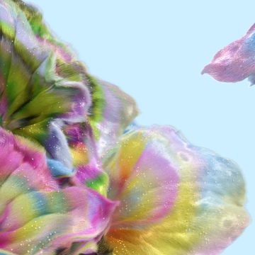 Pride 2025, Microsoft Design, LGBTQ